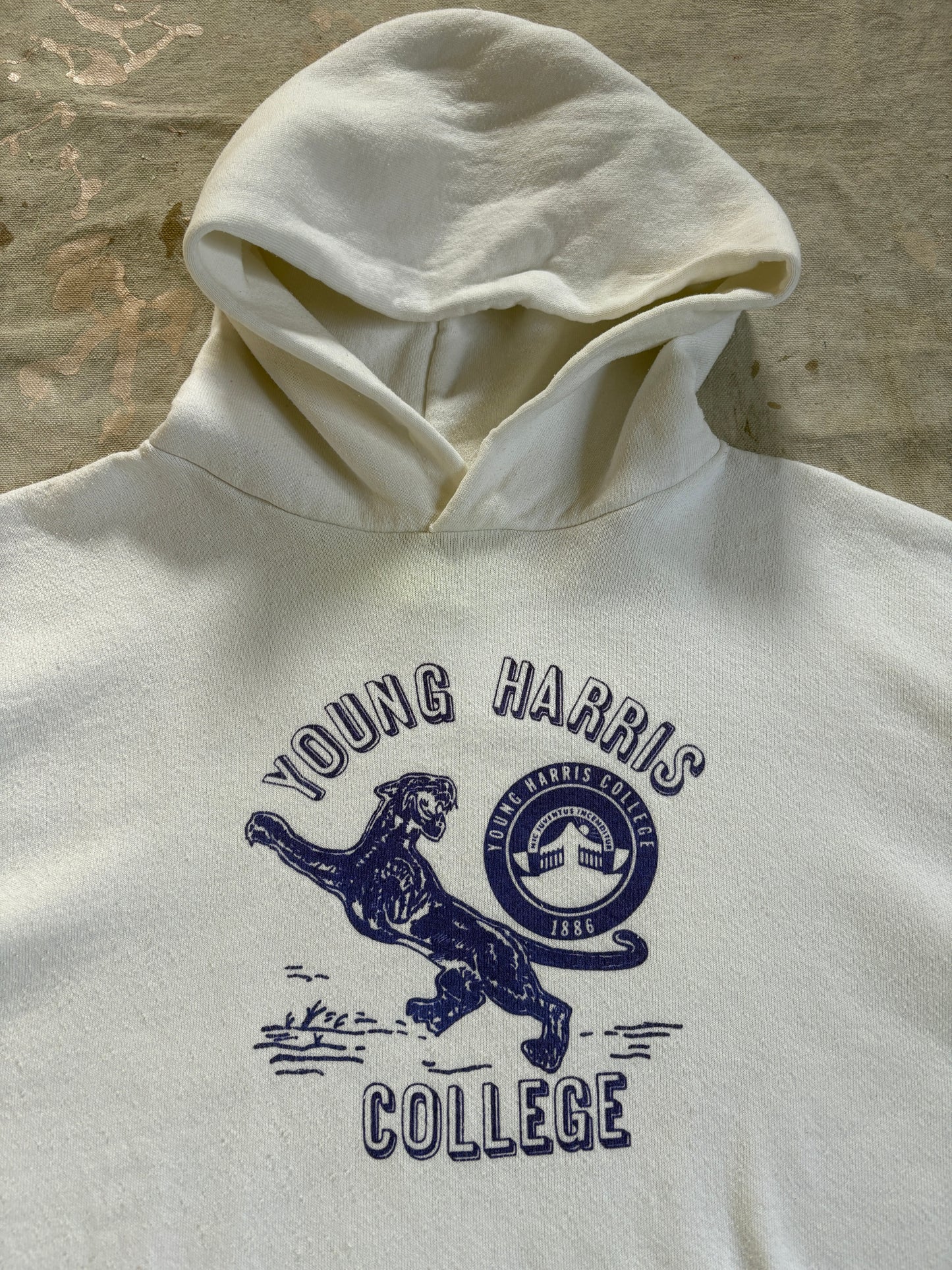 90s Young Harris College Hoodie Sweatshirt