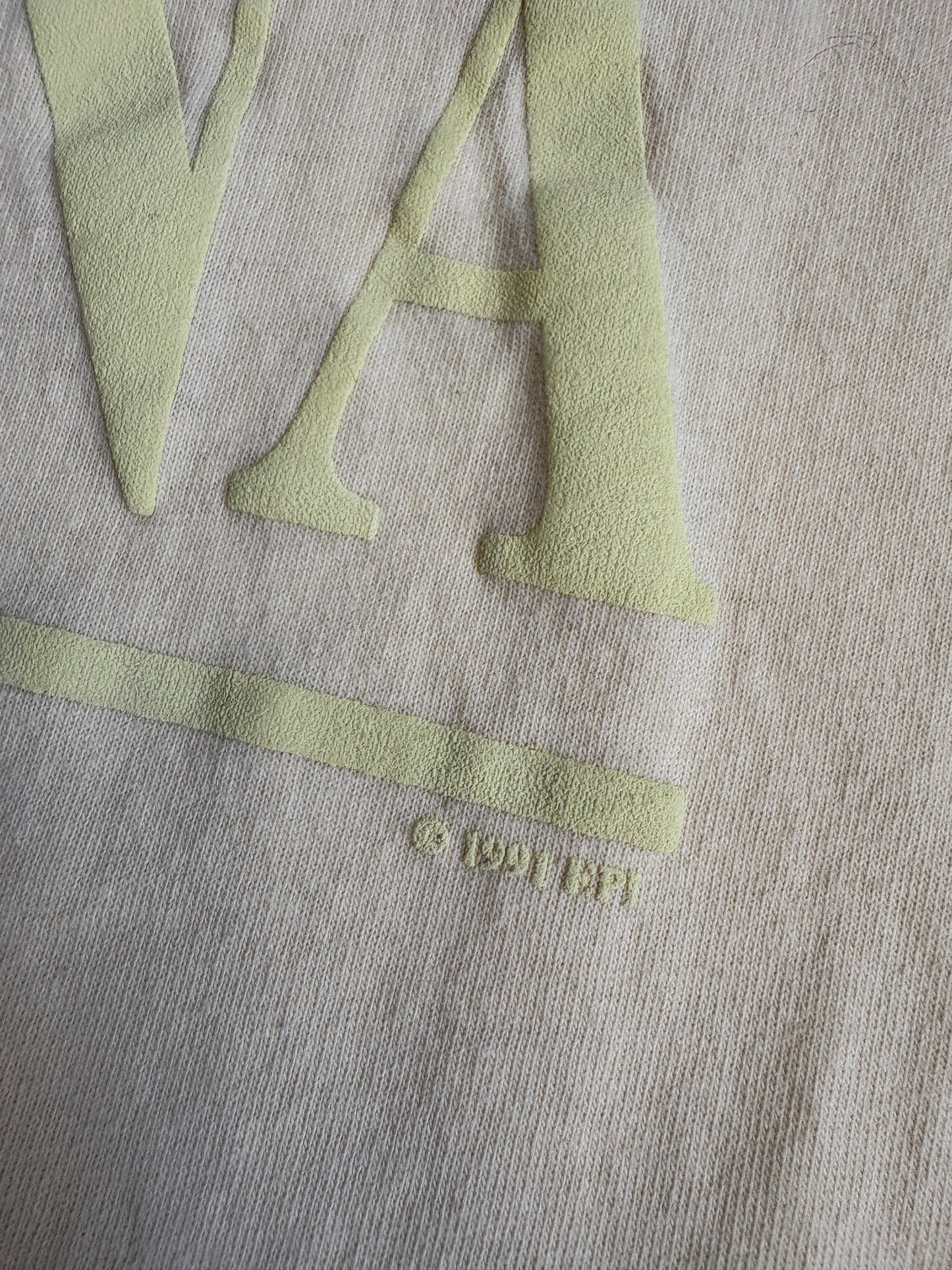 90s Arizona Dream Catcher Tee