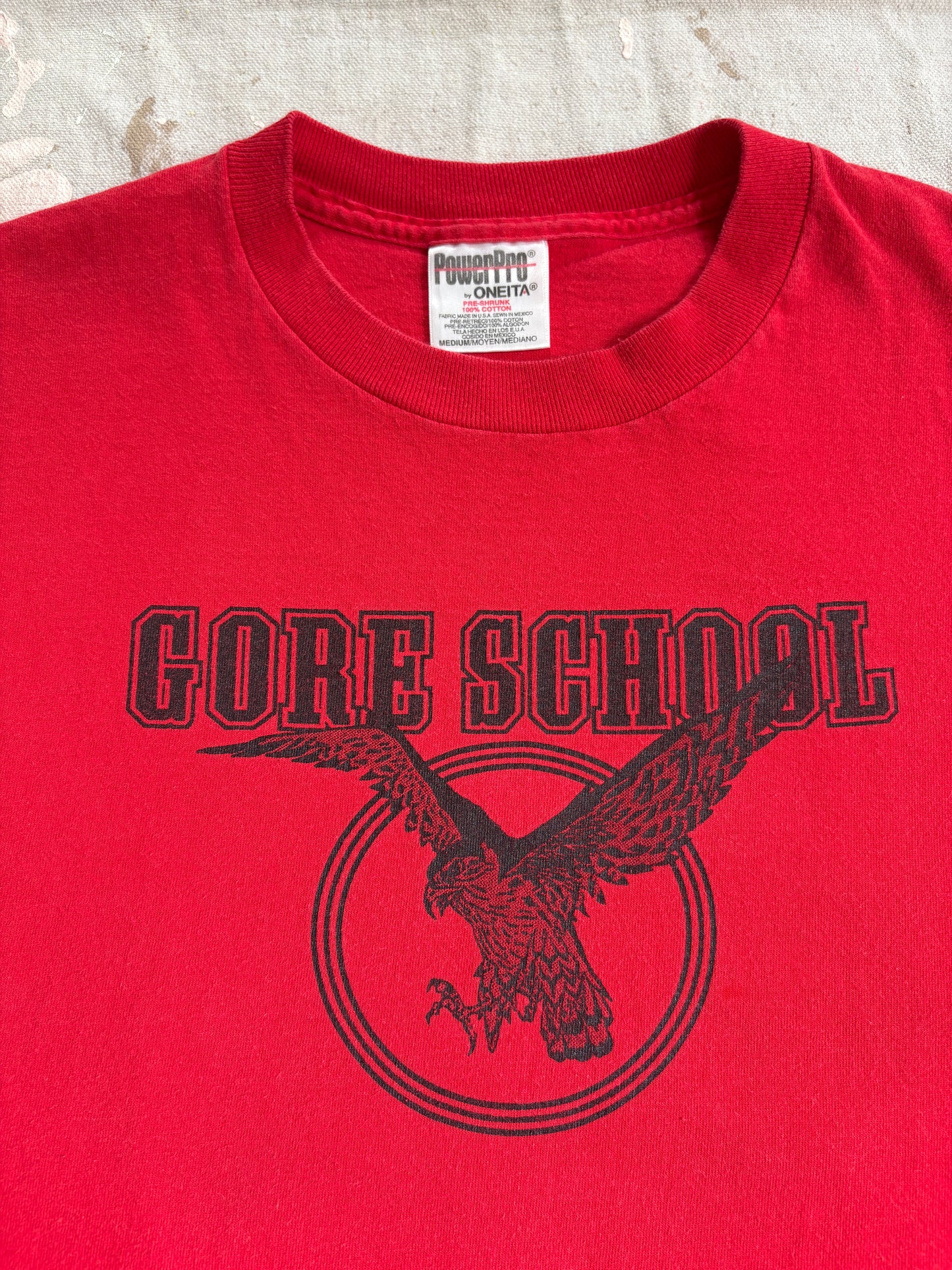 Vintage 90s Gore School Falcons Tee