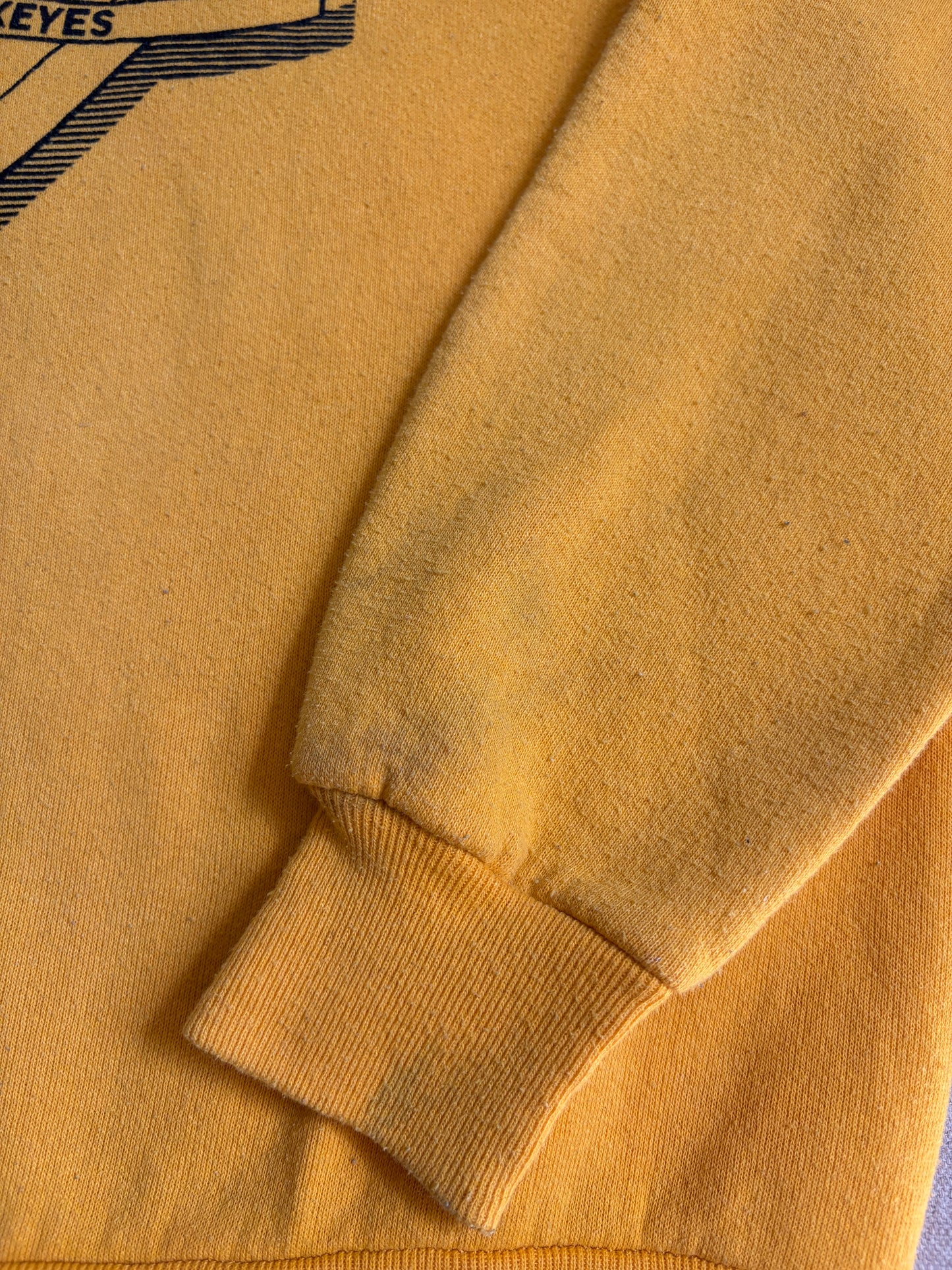 Vintage 80s University Of Iowa Hawkeyes Sweatshirt