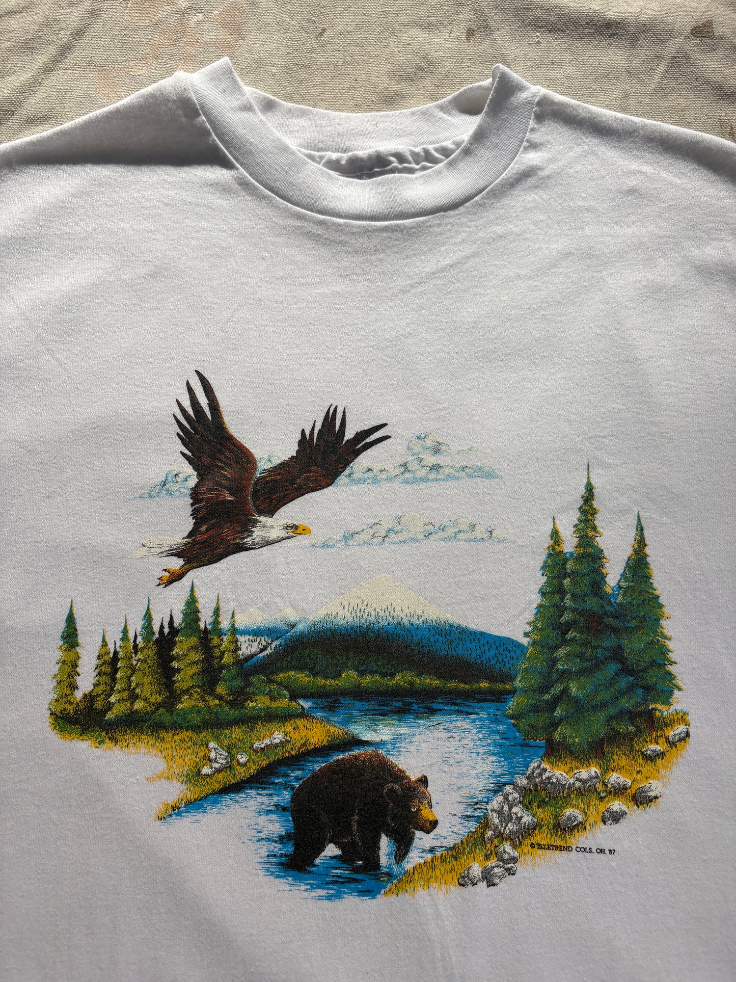 80s Bear And Eagle Mountain River Scene Nature Tee