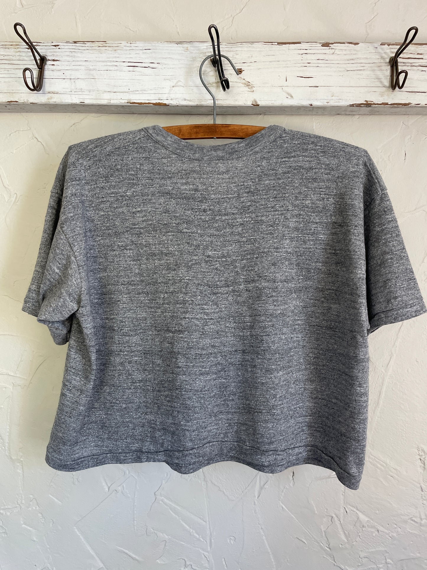 80s Slippery Rock Cropped Tee