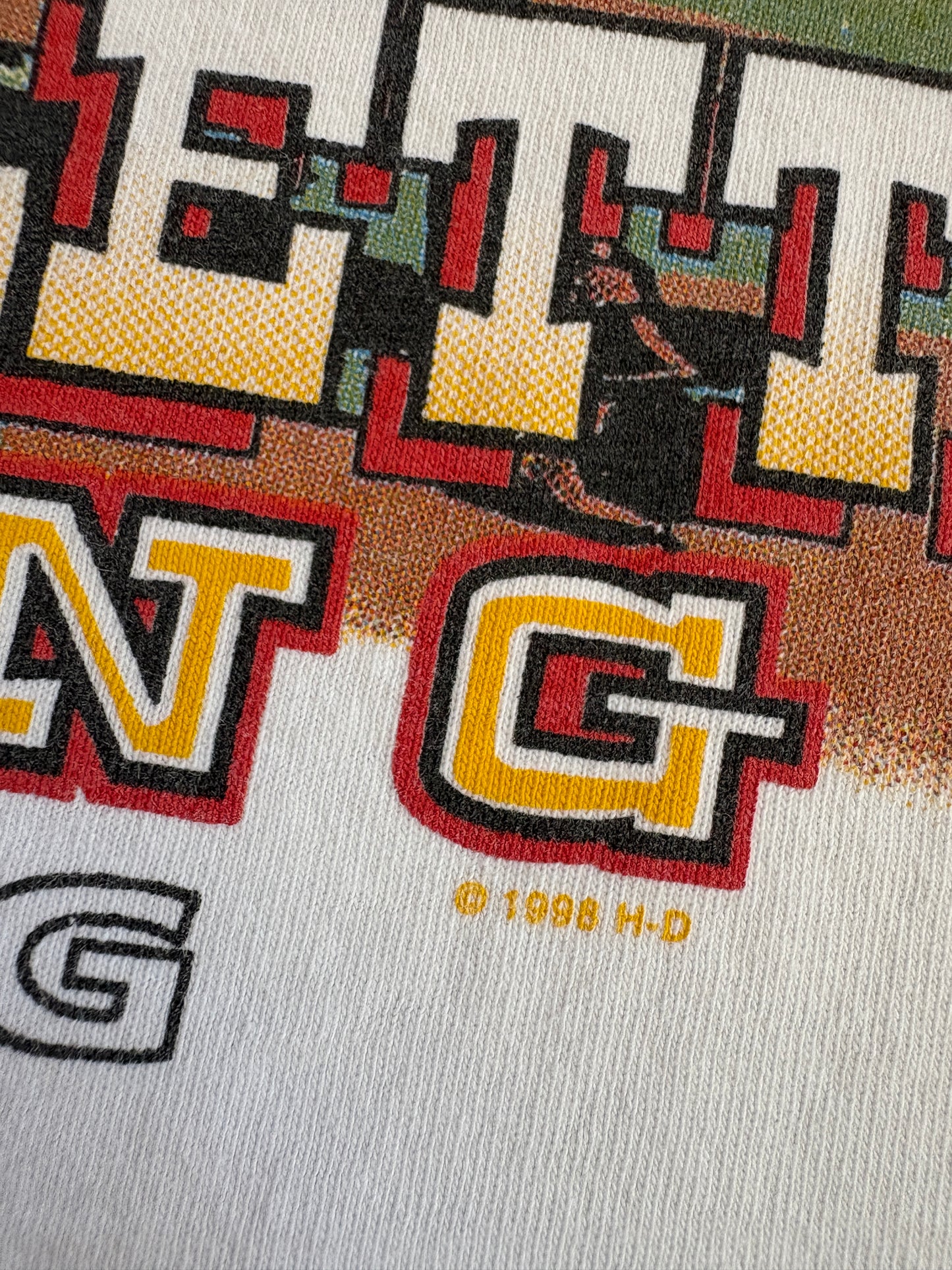 Vintage 90s/2000s Casper-Gillette Wyoming Harley Davidson Tank Top