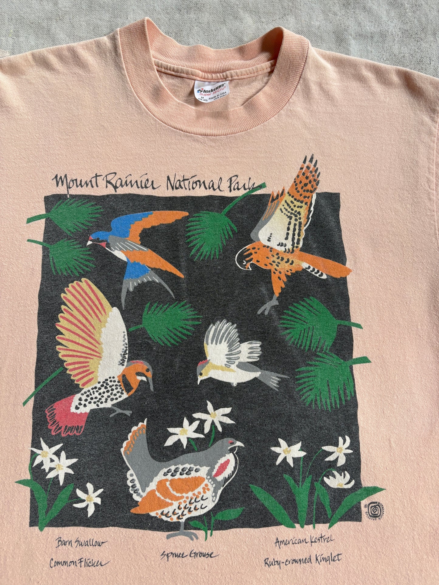 Vintage 80s Mt Rainier National Park Bird Tee