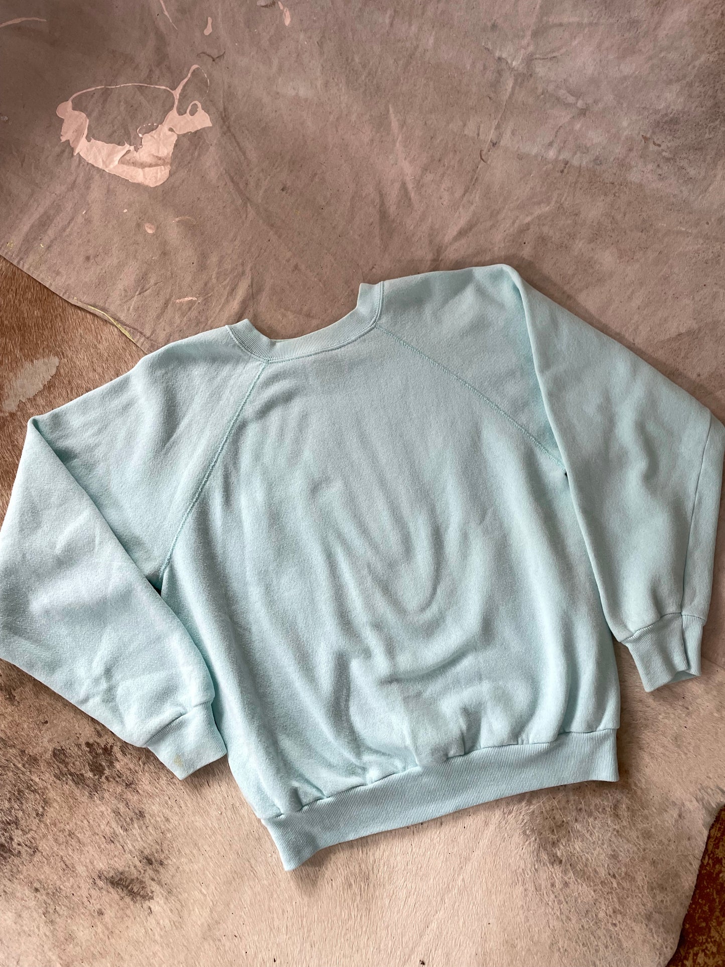 Tultex Robin’s Egg Sweatshirt