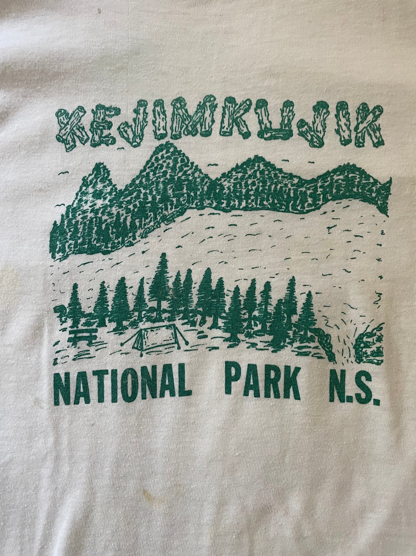 80s Kejimkujik National Park Nova Scotia Tee